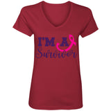 Ladies' V-Neck T-Shirt